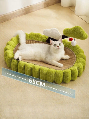 Cats