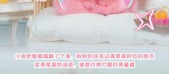 alishop:5d3cb20c0695